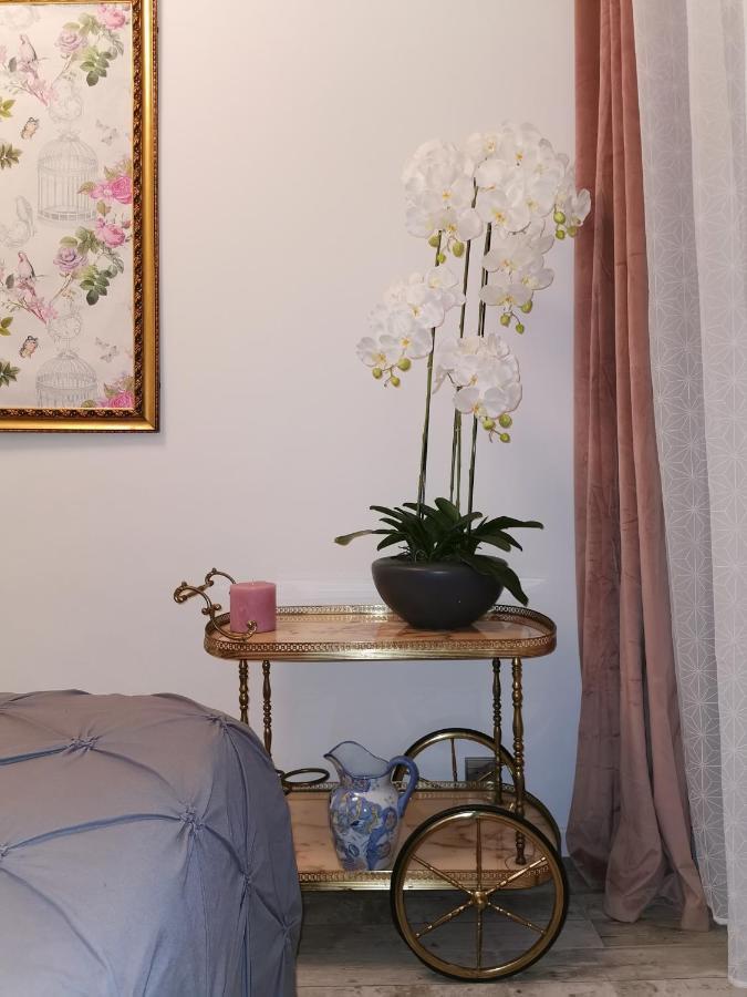 L'Ensoleillee Apartment Nice Luaran gambar